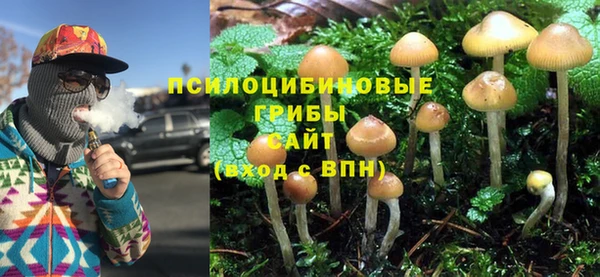 винт Бородино